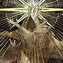The Ascendant from Thither