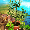 CE Icon