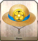 Super Straw Hat